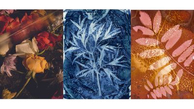 Flower photography isn't just about pretty roses: photographers in this new collection found beauty from weeds in concrete and ghosts in cyanotype