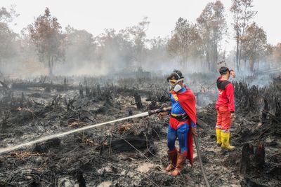 Dozens arrested after vast forest fires in Indonesia