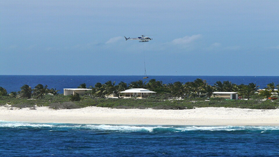 In 2005, French crews eradicated rats from Tromelin Island; by 2013, booby populations had more than doubled, and five seabird species later returned to breed