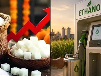 India's sugar industry body shares a positive price outlook