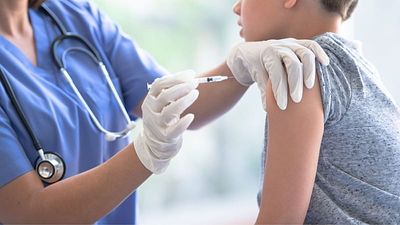 Vaccine response: Scientists say the secret may already be in your blood