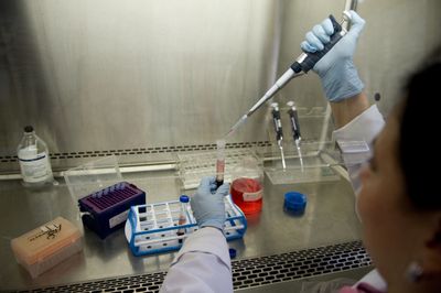 Live H5N1 Was Isolated from Fetal Bovine Serum in a Finding That Puts Laboratory Biosafety Under New Scrutiny