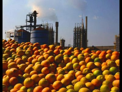 World’s biggest citrus waste-to-energy plant is being built in Brazil: 2.1-million-square-foot facility to turn orange juice waste into 1.77 million cubic feet of biogas every day