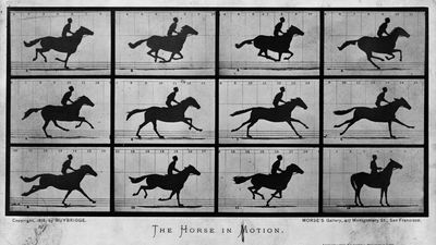Eadweard Muybridge invented a device that led to both cinema and burst photography – all to settle a question about horses – and the way it worked was utter genius