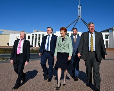 One Nation’s immigration policy is hard to define – even by its own MPs