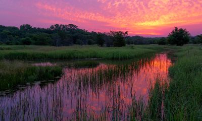 As Texas Destroys Its Wetlands, the Risk of Devastating Flooding Increases