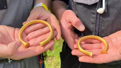 A British metal detectorist thought he'd found a bull's nose ring; it was actually a Bronze Age gold bracelet, and then two more appeared