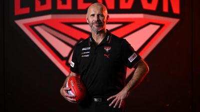 Essendon outline plan for Hird after head coach snub