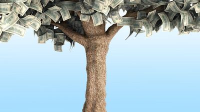 Does Your Teen Think Money Grows on Trees? 4 Ways to Gently Set Them Straight as College Starts