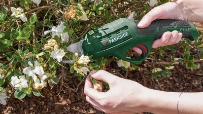 Lidl's latest garden range starts at just £2.39 – but these £10 cordless secateurs are worth the trip alone