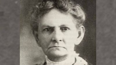 In 1908, an unschooled Indiana widow began a 20-year fight to defend 120 acres of Lake Michigan dunes from a steel giant; 72 years later, 212 acres including part of her tract joined Indiana Dunes to remain open space forever