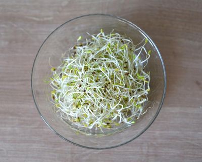 Alfalfa sprouts linked to food-poisoning outbreak in 15 states, US officials say