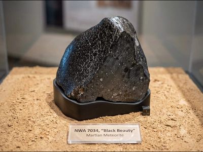 In 2011, a 320-gram Martian meteorite discovered in Sahara Desert reveals red planet Mars once had water