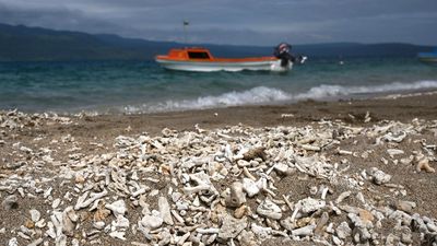 Ditching diesel could save Pacific nations almost $1b