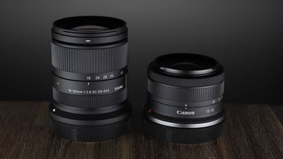 80% of the Top 10 lenses in Japan are third-party optics – and Canon doesn't make the list at all