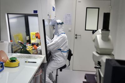 A Probiotic Bacterium Was Rewired to Survive Only Inside Tumors and Brew an Immune Drug There