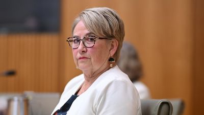 Tough personal issues cut short Greens senator's career