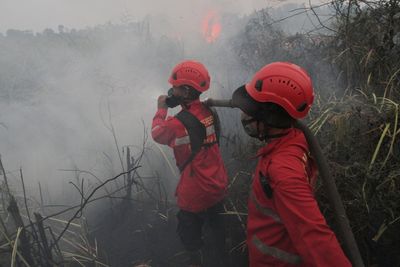 Muslims gather for rain prayers in Indonesia's wildfire-hit South Sumatra