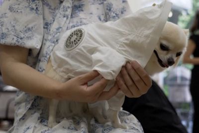 As Japan swelters, pet owners turn to fan-powered cooling suits