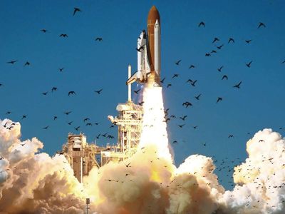In 1986, Challenger broke apart 73 seconds after liftoff; 36 years later, a TV dive team found a shuttle artifact with 8-inch tiles off Florida