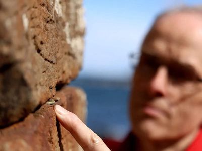 Thousands of coins removed from the Giant’s Causeway to protect basalt pillars; 10,000 coins wedged by tourists over the years extracted