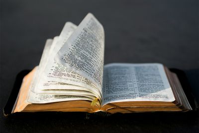 GOP Lawmaker Dismisses Climate Change Because It's Not in the Bible: 'If You Read the Good Book You Know How It Ends'