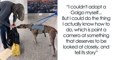 A Flight With 5 Rescued Spanish Galgos Inspired This Photographer’s Artistic Sighthound Photo Project