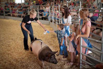 Two Michigan Children Caught Swine Flu at the Same Agricultural Fair, and Neither Had Contact with the Other