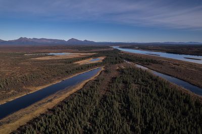 A lush knee-high jungle grows in the Arctic, but warming is changing Earth's mini-greenhouse