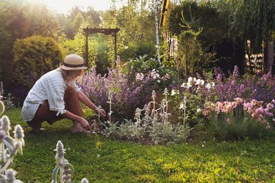 7 Late-Summer Garden Checks That Can Prevent Winter Damage