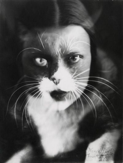 The cat that fought Mussolini: how the Wulz photography sisters weaponised the family pet