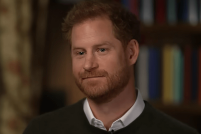 Prince Harry Leaves African Parks Board After Charity Admits Human Rights Abuses, Including Torture Claims