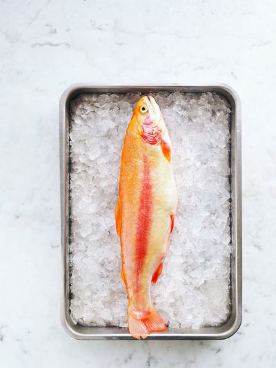 The “Good Intentions” Grocery Haul: 8 Foods We Buy for the Person We Wish We Were