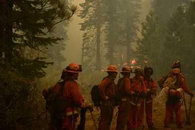 Firefighters Union Warns Members Against Glutathione IV and Nebulizer Treatments Offered at Wildfire Camps This Summer