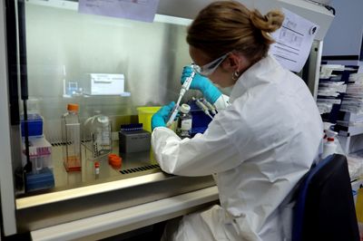 Moderna Added 45 Billion Dollars in a Day on a Melanoma Vaccine Result with No Effect Size Disclosed