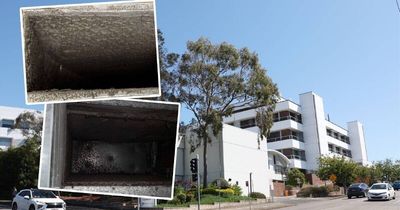 'Where is the health minister?' Questions after mould found in hospital ICU