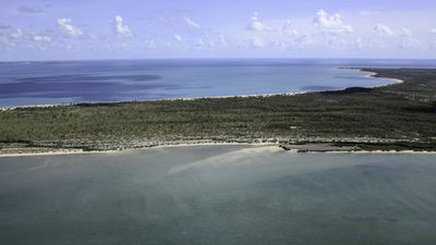 Divers join search for pilot who crashed into the sea
