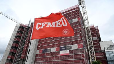 Weeding out crims 'problematic': ex-union administrator