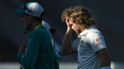 Coach's alleged words to Test cricketer before head hit