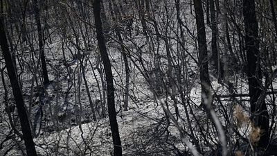 Is France's political class out of touch on climate change? Experts slam presidential candidates