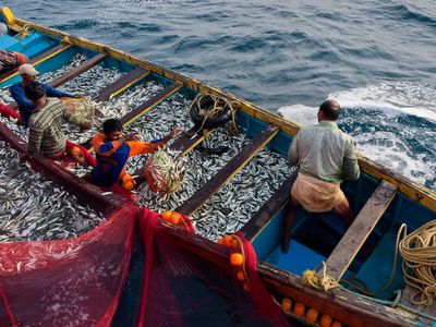 India, Seychelles agree to deepen cooperation in fisheries and blue economy