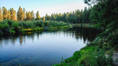 In 1945, brothers Alfred and Andrew Collier donated 146 Oregon acres to the state as a memorial to their parents; today, Collier Memorial State Park spans 536 acres and preserves the region’s logging history