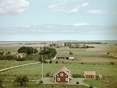 In 1831, Swedish Navy planted 300,000 oak trees on Visingsö for future warships; when they were ready in 1975, Navy rejected the timber as ships had switched to steel, leaving a forest behind