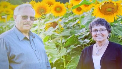 After losing his wife in 2014, a Wisconsin farmer planted 4.5 miles of sunflowers; their seeds later helped raise money for cancer research