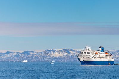 New cruise ship rules after wildlife concerns in Greenland’s fjords