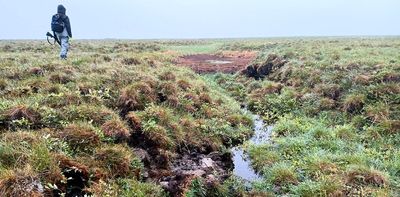 Disappearing lakes, old photos and AI are helping scientists map Arctic permafrost thaw in near-real time