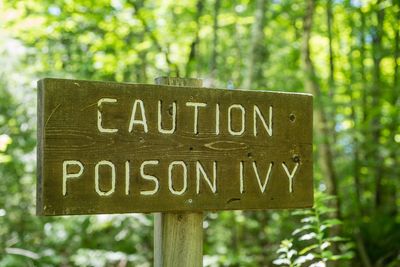 Poison Ivy Isn’t the Only Plant Gardeners Should Learn to Recognize