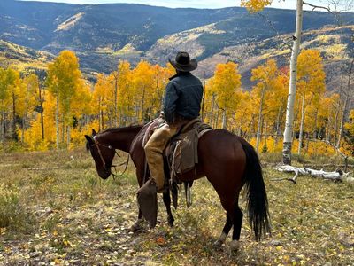 Modern cowboys are saddling up in the US West. And they’re on a whole new mission