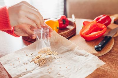 6 Ways to Save Seeds Without Ruining Next Year’s Germination