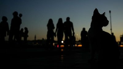 Study: Istanbul residents shun culture and arts with high ticket prices main barrier